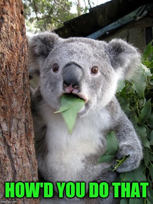Surprised Koala Meme | HOW'D YOU DO THAT | image tagged in memes,surprised koala | made w/ Imgflip meme maker
