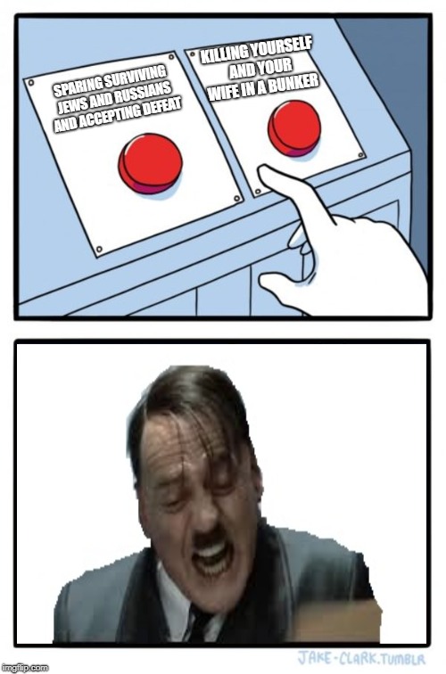 Two Buttons | KILLING YOURSELF AND YOUR WIFE IN A BUNKER; SPARING SURVIVING JEWS AND RUSSIANS AND ACCEPTING DEFEAT | image tagged in memes,two buttons | made w/ Imgflip meme maker