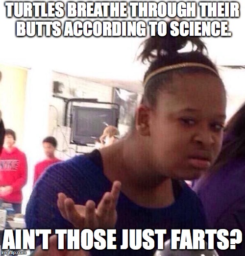 Black Girl Wat Meme | TURTLES BREATHE THROUGH THEIR BUTTS ACCORDING TO SCIENCE. AIN'T THOSE JUST FARTS? | image tagged in memes,black girl wat | made w/ Imgflip meme maker
