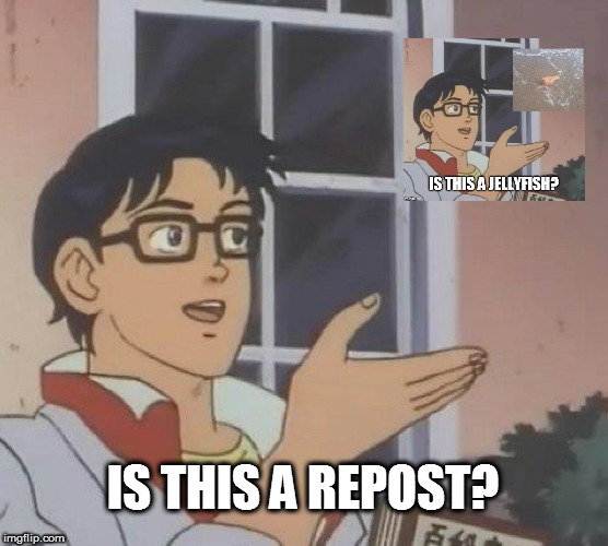 Is This A Pigeon | IS THIS A REPOST? | image tagged in memes,is this a pigeon,nsfw | made w/ Imgflip meme maker