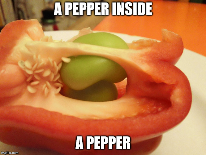 pepper inside pepper | A PEPPER INSIDE; A PEPPER | image tagged in pepper,inside,a,weird,funny | made w/ Imgflip meme maker