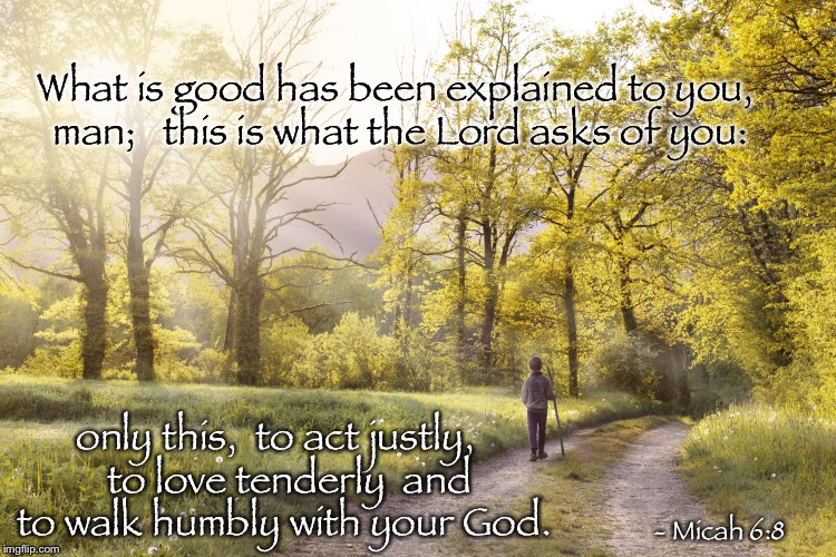 Micah 6:8 | What is good has been explained to you, man;
  this is what the Lord asks of you:; only this, 
to act justly,
  to love tenderly  and to walk humbly with your God. - Micah 6:8 | image tagged in micah,justice,love,humility,god | made w/ Imgflip meme maker