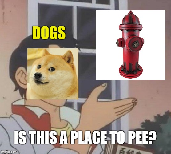 Classic | DOGS; IS THIS A PLACE TO PEE? | image tagged in memes,is this a pigeon,dogs,pee | made w/ Imgflip meme maker