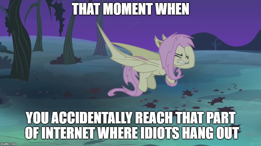 flutterhoofbat | THAT MOMENT WHEN; YOU ACCIDENTALLY REACH THAT PART OF INTERNET WHERE IDIOTS HANG OUT | image tagged in flutterhoofbat | made w/ Imgflip meme maker