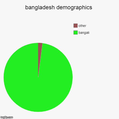 bangladesh demographics | bangali, other | image tagged in pie charts | made w/ Imgflip chart maker
