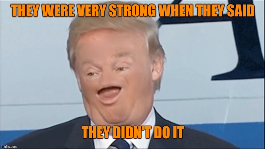 THEY WERE VERY STRONG WHEN THEY SAID THEY DIDN'T DO IT | made w/ Imgflip meme maker