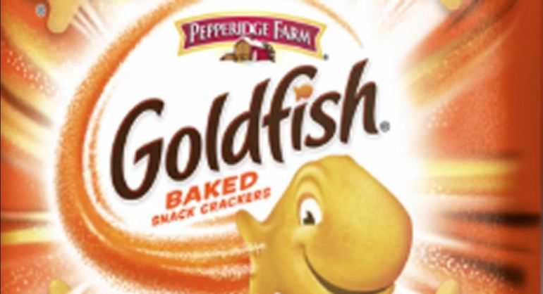 High Quality Goldfish now with Salmonella Blank Meme Template