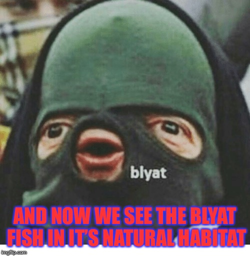 AND NOW WE SEE THE BLYAT FISH IN IT’S NATURAL HABITAT | image tagged in russia,cyka blyat | made w/ Imgflip meme maker
