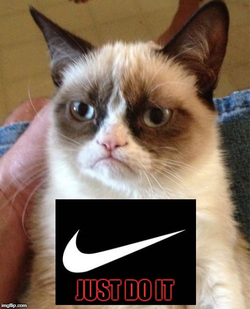 Grumpy Cat Meme | JUST DO IT | image tagged in memes,grumpy cat | made w/ Imgflip meme maker