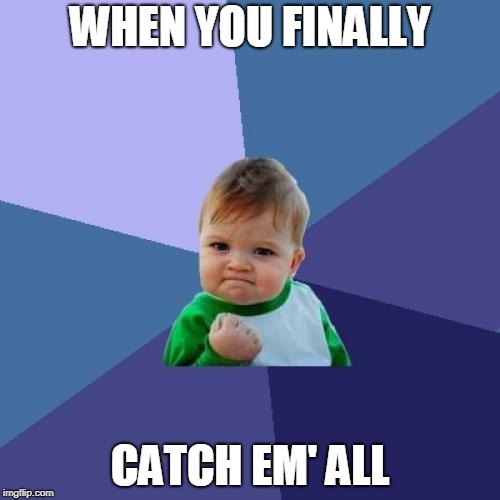 That feeling though, It's the best | WHEN YOU FINALLY; CATCH EM' ALL | image tagged in memes,success kid | made w/ Imgflip meme maker
