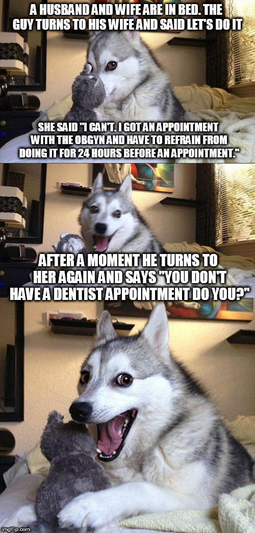 Bad Pun Dog | A HUSBAND AND WIFE ARE IN BED. THE GUY TURNS TO HIS WIFE AND SAID LET'S DO IT; SHE SAID "I CAN'T. I GOT AN APPOINTMENT WITH THE OBGYN AND HAVE TO REFRAIN FROM DOING IT FOR 24 HOURS BEFORE AN APPOINTMENT."; AFTER A MOMENT HE TURNS TO HER AGAIN AND SAYS "YOU DON'T HAVE A DENTIST APPOINTMENT DO YOU?" | image tagged in memes,bad pun dog,dirty joke | made w/ Imgflip meme maker
