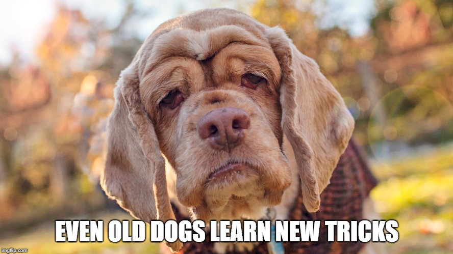 Old Dogs | EVEN OLD DOGS LEARN NEW TRICKS | image tagged in old,dogs,learning | made w/ Imgflip meme maker
