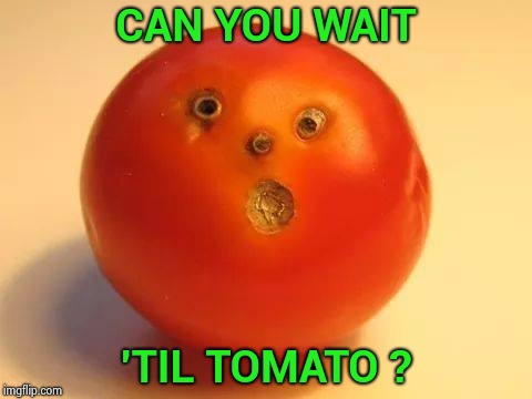 tomato man | CAN YOU WAIT 'TIL TOMATO ? | image tagged in tomato man | made w/ Imgflip meme maker