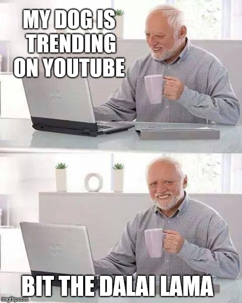 Hide the Pain Harold Meme | MY DOG IS TRENDING ON YOUTUBE; BIT THE DALAI LAMA | image tagged in memes,hide the pain harold | made w/ Imgflip meme maker