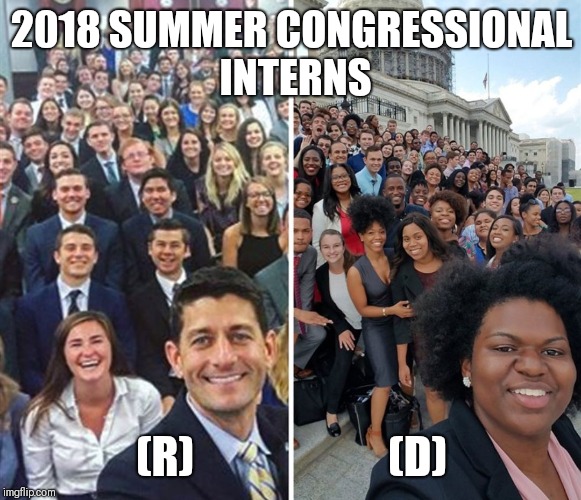 2018 SUMMER CONGRESSIONAL INTERNS; (R)                      (D) | image tagged in the difference between r  d | made w/ Imgflip meme maker