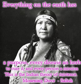 Mourning Dove - Christine Quintasket 1888-1936 Salish from WA state and BC Canada | Everything on the earth has; a purpose, every disease an herb; to cure it, and every person a mission; This is the Indian theory of existence. Mourning Dove  - Salish | image tagged in canada,chief,salish nation,canadian indian | made w/ Imgflip meme maker