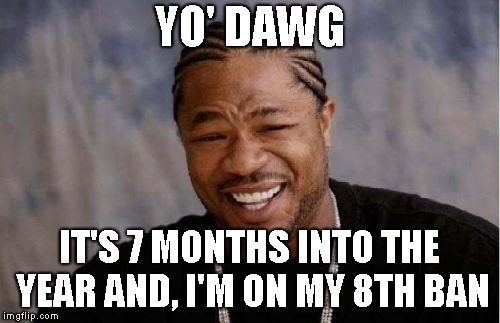 Yo Dawg Heard You Meme | YO' DAWG IT'S 7 MONTHS INTO THE YEAR AND, I'M ON MY 8TH BAN | image tagged in memes,yo dawg heard you | made w/ Imgflip meme maker