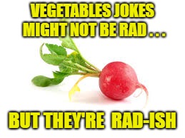 Radish | VEGETABLES JOKES MIGHT NOT BE RAD . . . BUT THEY'RE  RAD-ISH | image tagged in radish | made w/ Imgflip meme maker