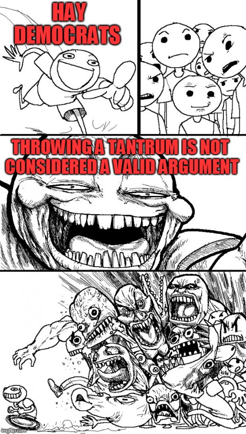 Hey Internet Meme | HAY DEMOCRATS THROWING A TANTRUM IS NOT CONSIDERED A VALID ARGUMENT | image tagged in memes,hey internet | made w/ Imgflip meme maker