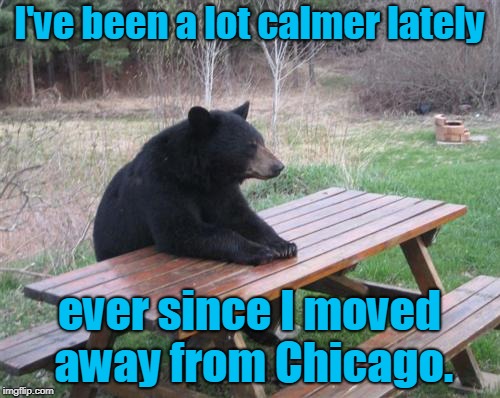 Bad Luck Bear Meme | I've been a lot calmer lately ever since I moved away from Chicago. | image tagged in memes,bad luck bear | made w/ Imgflip meme maker