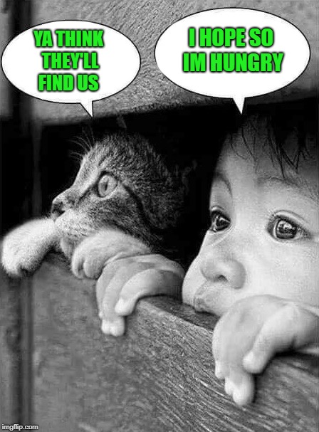 hide and seek | I HOPE SO IM HUNGRY; YA THINK THEY'LL FIND US | image tagged in cat,kid,hide and seek | made w/ Imgflip meme maker