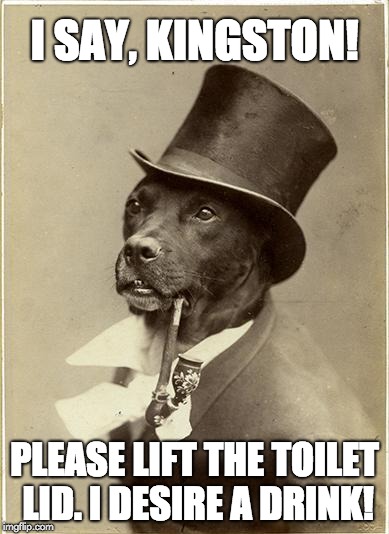 Old Money Dog | I SAY, KINGSTON! PLEASE LIFT THE TOILET LID. I DESIRE A DRINK! | image tagged in old money dog | made w/ Imgflip meme maker