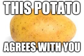 Potato | THIS POTATO; AGREES WITH YOU | image tagged in potato | made w/ Imgflip meme maker