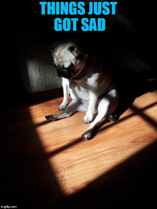 Depressed Pug | THINGS JUST GOT SAD | image tagged in depressed pug | made w/ Imgflip meme maker