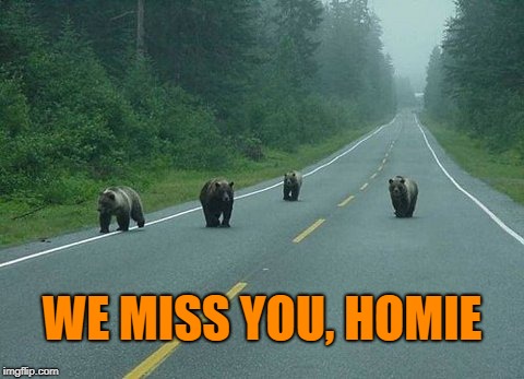 Canadian Street Gangs | WE MISS YOU, HOMIE | image tagged in canadian street gangs | made w/ Imgflip meme maker