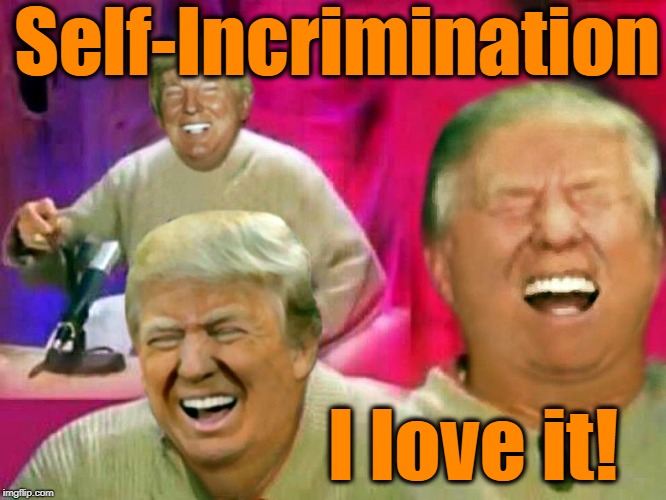 Self-Incrimination I love it! | made w/ Imgflip meme maker