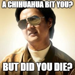 Chihuahua Over-reaction | A CHIHUAHUA BIT YOU? BUT DID YOU DIE? | image tagged in but did you die,notapitbull | made w/ Imgflip meme maker