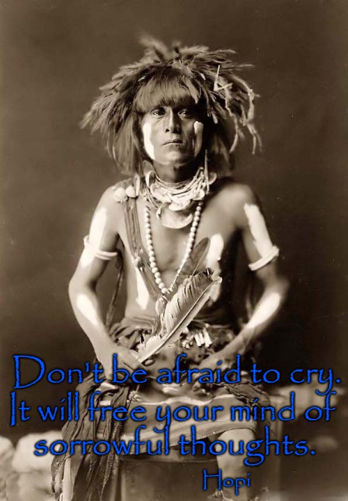 Hopi - The Peaceful People. From AZ They lived in Pueblos. | Don't be afraid to cry. It will free your mind of; sorrowful thoughts. Hopi | image tagged in native american',native americans,tribe,chief,american indian | made w/ Imgflip meme maker