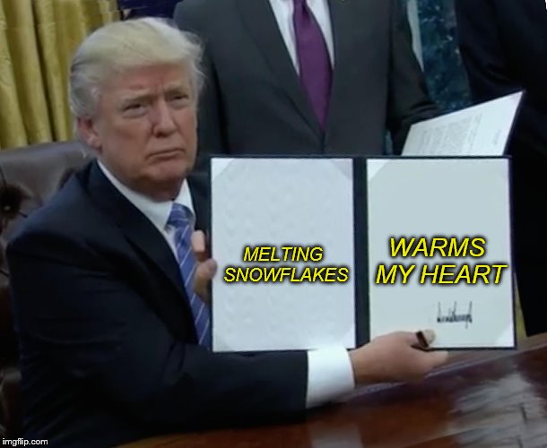 President Trump Writes "Melting Snowflakes Warms My Heart" | MELTING SNOWFLAKES; WARMS MY HEART | image tagged in memes,trump bill signing,melting snowflakes warms my heart,liberal snowflakes,political meme | made w/ Imgflip meme maker