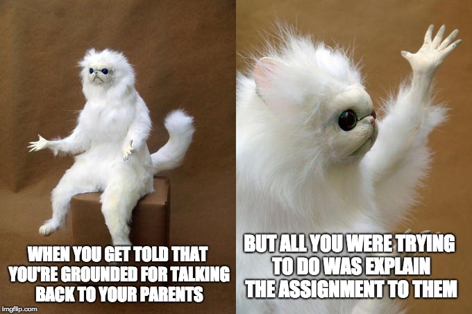 Persian Cat Room Guardian Meme | WHEN YOU GET TOLD THAT YOU'RE GROUNDED FOR TALKING BACK TO YOUR PARENTS BUT ALL YOU WERE TRYING TO DO WAS EXPLAIN THE ASSIGNMENT TO THEM | image tagged in memes,persian cat room guardian | made w/ Imgflip meme maker