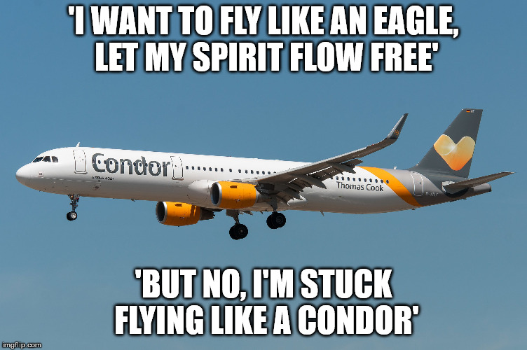 'I WANT TO FLY LIKE AN EAGLE, LET MY SPIRIT FLOW FREE'; 'BUT NO, I'M STUCK FLYING LIKE A CONDOR' | made w/ Imgflip meme maker