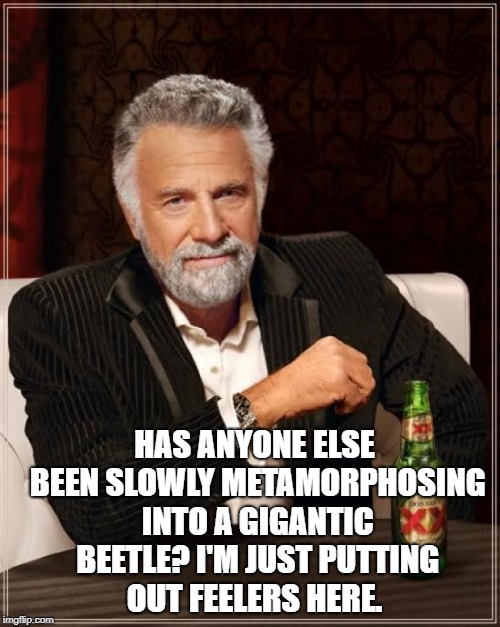 The Most Interesting Man In The World Meme | HAS ANYONE ELSE BEEN SLOWLY METAMORPHOSING INTO A GIGANTIC BEETLE? I'M JUST PUTTING OUT FEELERS HERE. | image tagged in memes,the most interesting man in the world | made w/ Imgflip meme maker