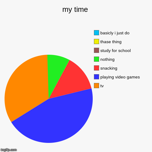 my time | tv, playing video games, snacking, nothing, study for school , thase thing, basicly i just do | image tagged in funny,pie charts | made w/ Imgflip chart maker