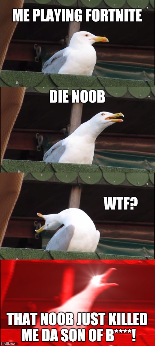 Inhaling Seagull Meme | ME PLAYING FORTNITE; DIE NOOB; WTF? THAT NOOB JUST KILLED ME DA SON OF B****! | image tagged in memes,inhaling seagull | made w/ Imgflip meme maker
