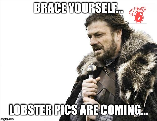 Brace Yourselves X is Coming | BRACE YOURSELF... LOBSTER PICS ARE COMING... | image tagged in memes,brace yourselves x is coming | made w/ Imgflip meme maker