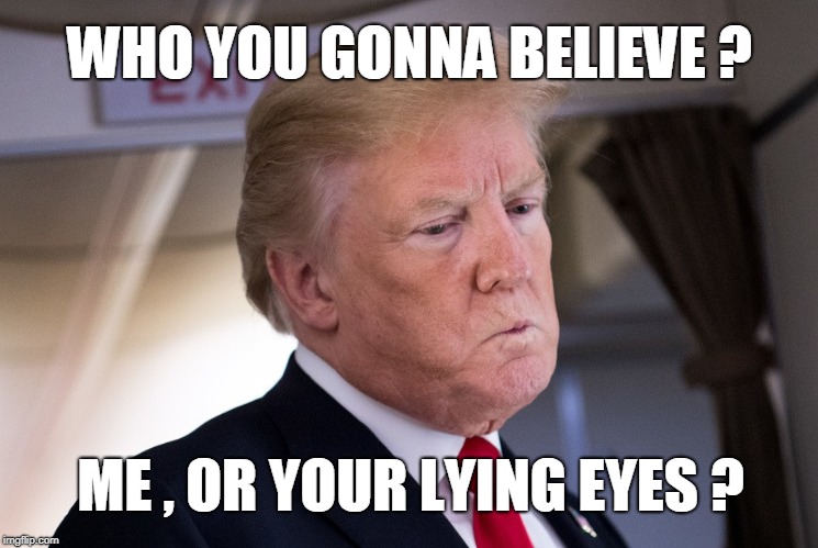 WHO YOU GONNA BELIEVE ? ME , OR YOUR LYING EYES ? | image tagged in trump | made w/ Imgflip meme maker
