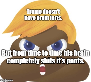 Trump brain farts | Trump doesn't have brain farts. But from time to time his brain completely shits it's pants. | image tagged in trump,impeach,resistance,resist,putinspoodle | made w/ Imgflip meme maker