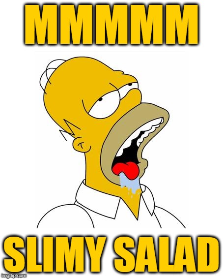 Homer Simpson Drooling | MMMMM SLIMY SALAD | image tagged in homer simpson drooling | made w/ Imgflip meme maker