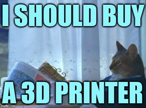 I Should Buy A Boat Cat Meme | I SHOULD BUY A 3D PRINTER | image tagged in memes,i should buy a boat cat | made w/ Imgflip meme maker