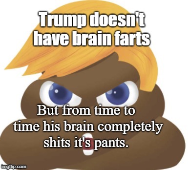 Trump doesn't have brain farts | Trump doesn't have brain farts; But from time to time his brain completely shits it's pants. | image tagged in trump,brain,resist,theresistance,gop,senile | made w/ Imgflip meme maker