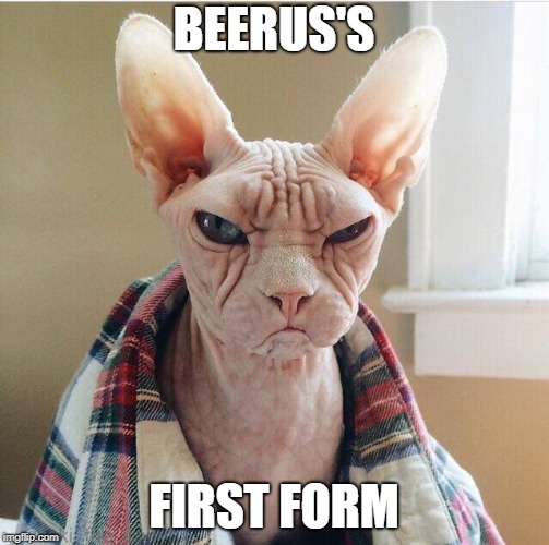 Angry hairless cat | BEERUS'S; FIRST FORM | image tagged in angry hairless cat | made w/ Imgflip meme maker