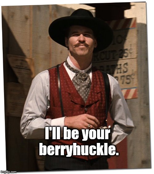 the doctor is in | I'll be your berryhuckle. | image tagged in the doctor is in | made w/ Imgflip meme maker