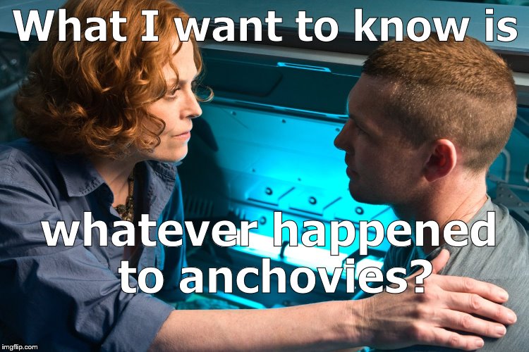 As the pro- & anti-pineapple pizza debate rages on, Dr. Grace Augustine is still asking the most burning question. | What I want to know is; whatever happened to anchovies? | image tagged in warn them,dr grace augustine,avatar,meme-lordthedespoiler,commented on your image,douglie | made w/ Imgflip meme maker