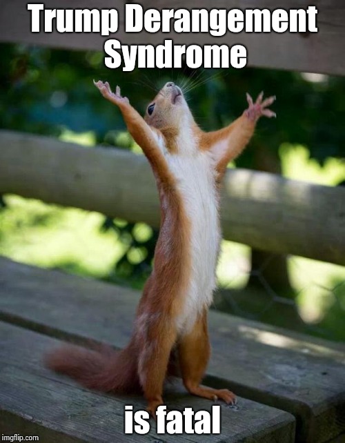 Happy Squirrel | Trump Derangement Syndrome is fatal | image tagged in happy squirrel | made w/ Imgflip meme maker