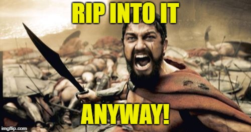 Sparta Leonidas Meme | RIP INTO IT ANYWAY! | image tagged in memes,sparta leonidas | made w/ Imgflip meme maker