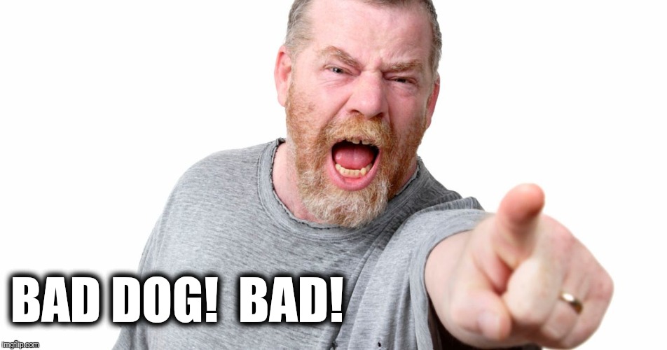 BAD DOG!  BAD! | made w/ Imgflip meme maker